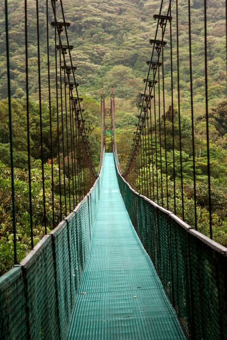 Hanging Bridges in Cloudforest - Costa Rica